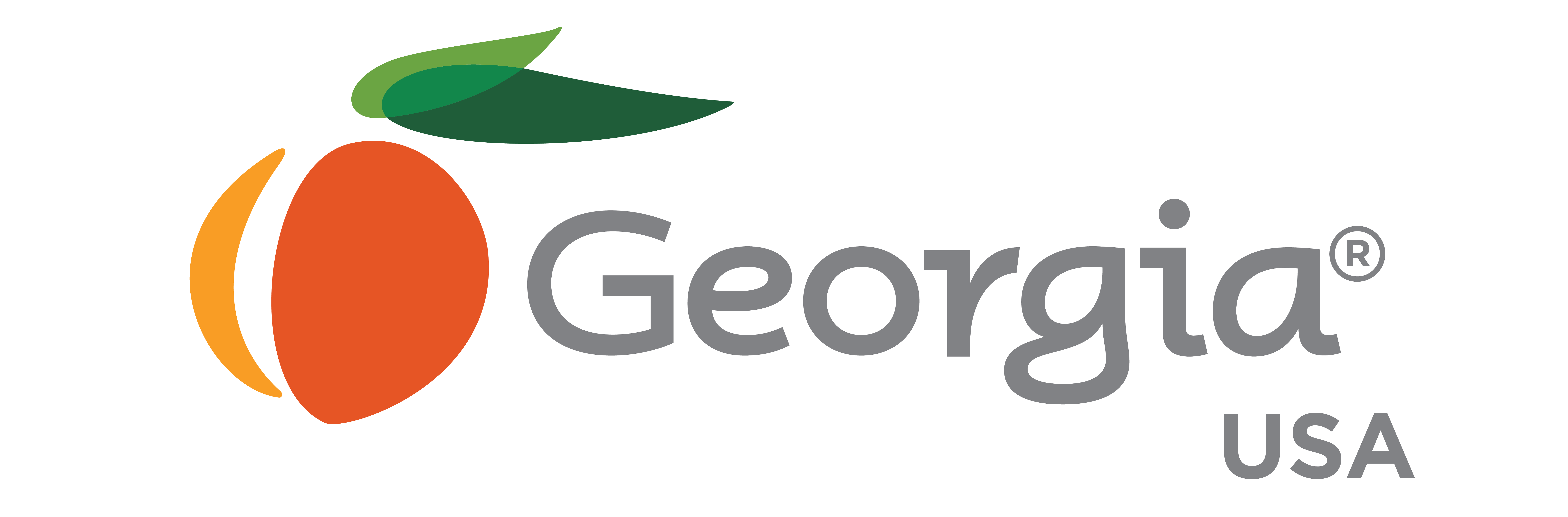 Georgia USA logo