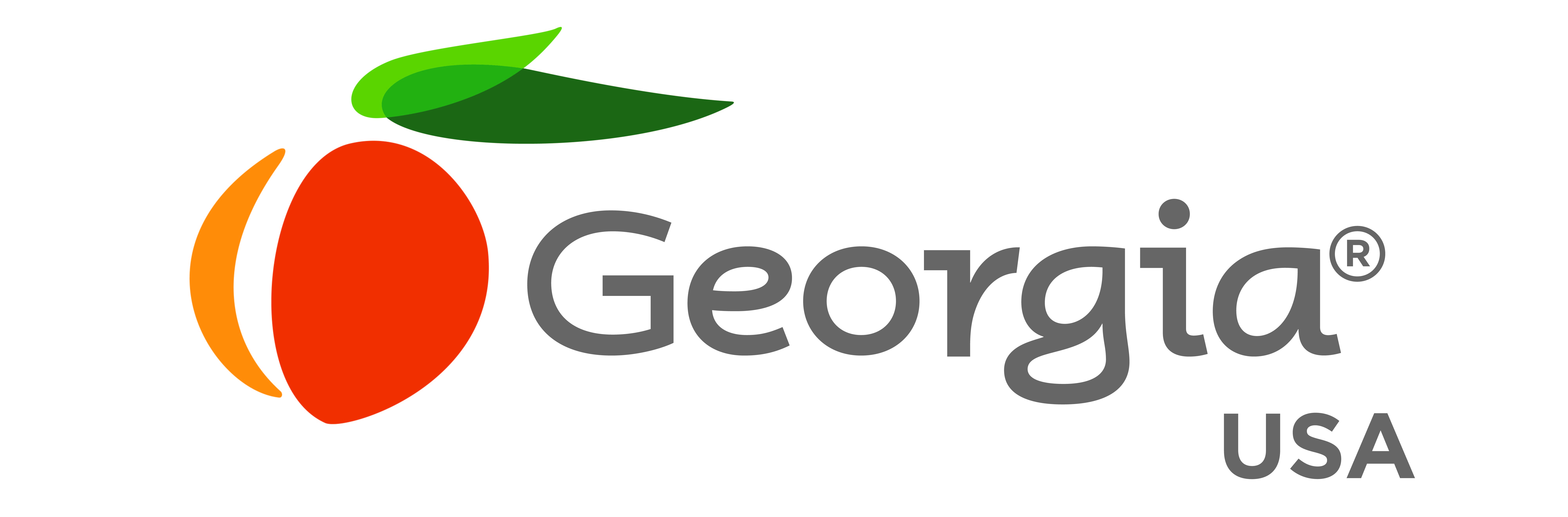 Georgia USA logo
