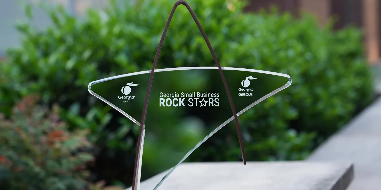 Small business rock star award