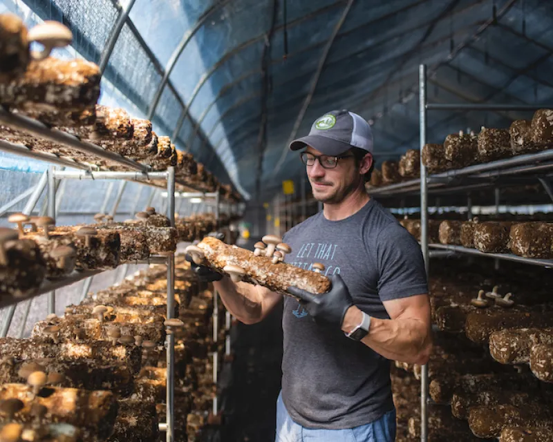 A mushroom farm in Ellijay
