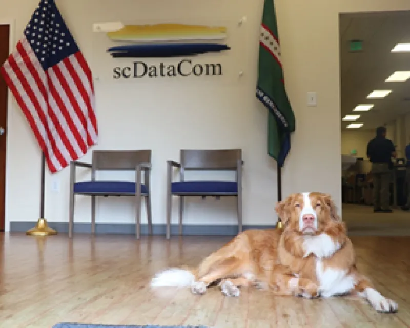 Dog Infront of scDataCom