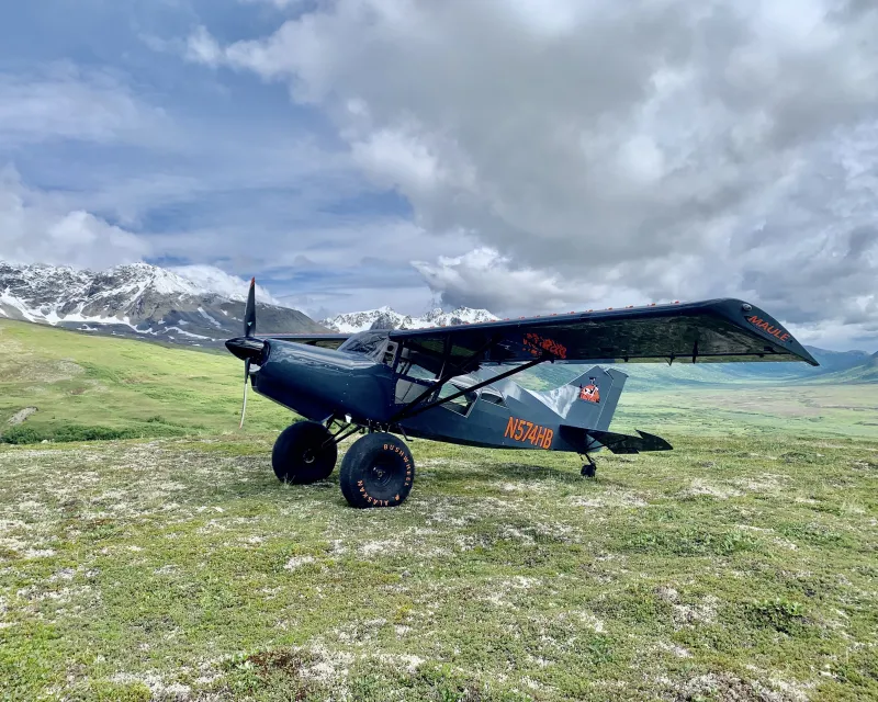 A Maule Air aircraft in a grass field.