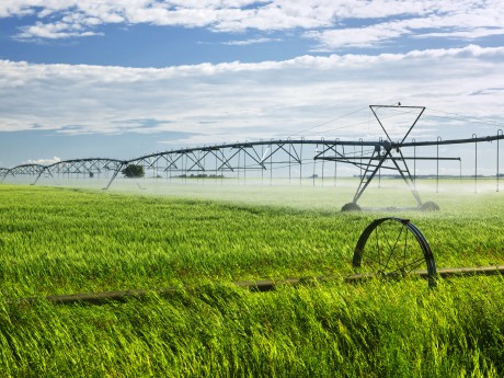 Integrated Precision Agriculture