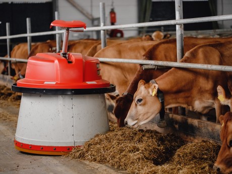 NEXT GEN ANIMAL AGRICULTURE NEXT GEN ANIMAL AGRICULTURE