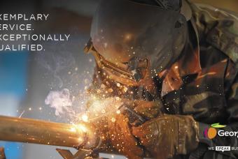 Georgia Veterans Workforce