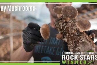 Owner of Ellijay Mushrooms holding a large mushroom in a growing facility