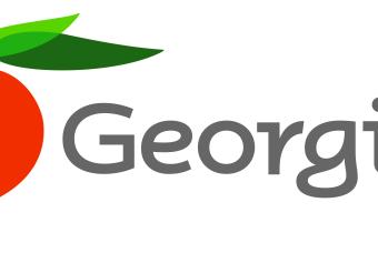 Georgia USA logo