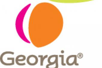 Georgia state logo