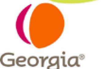 Georgia state logo