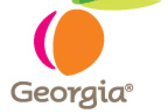 Georgia state logo