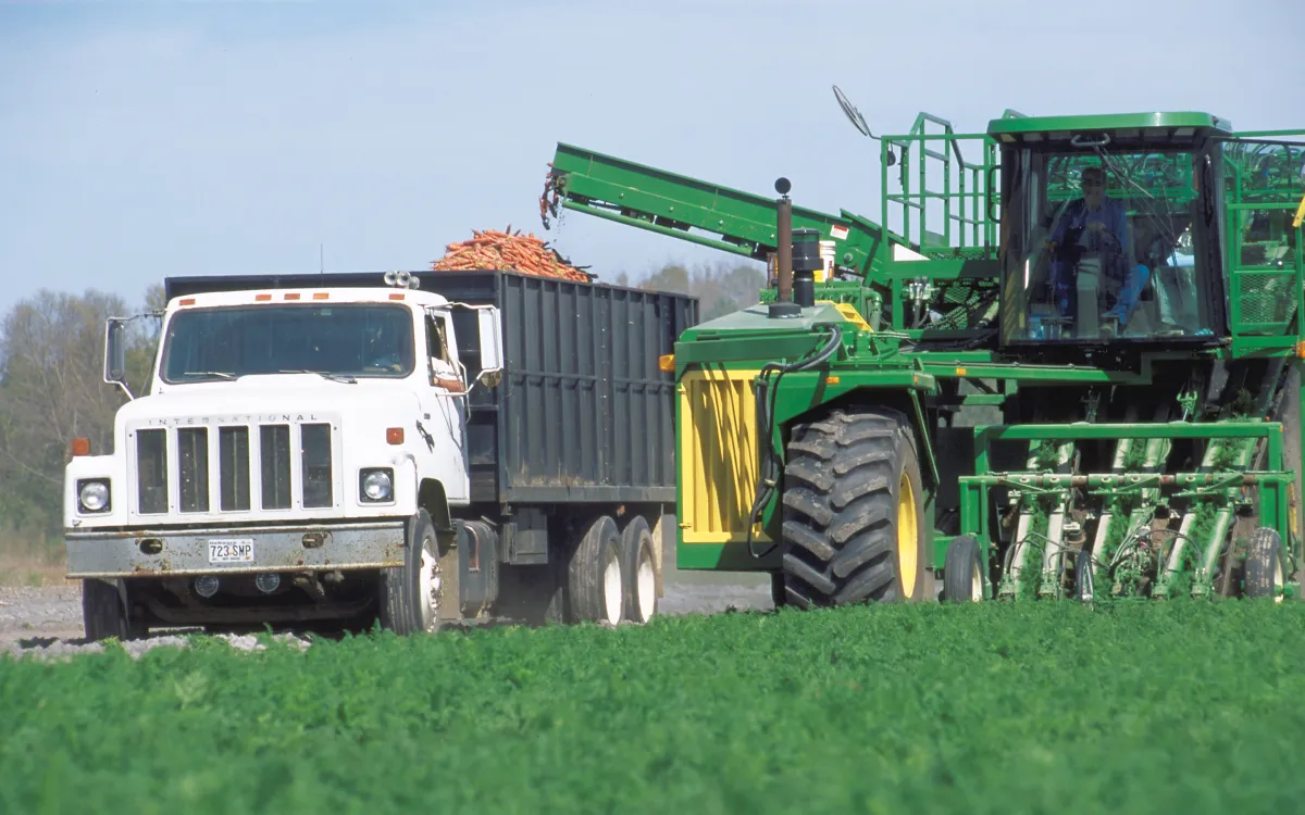 Agriculture Innovation Finds a Home in Rural Georgia | Georgia