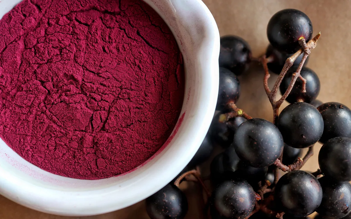 Muscadine powder next to a bunch of muscadines