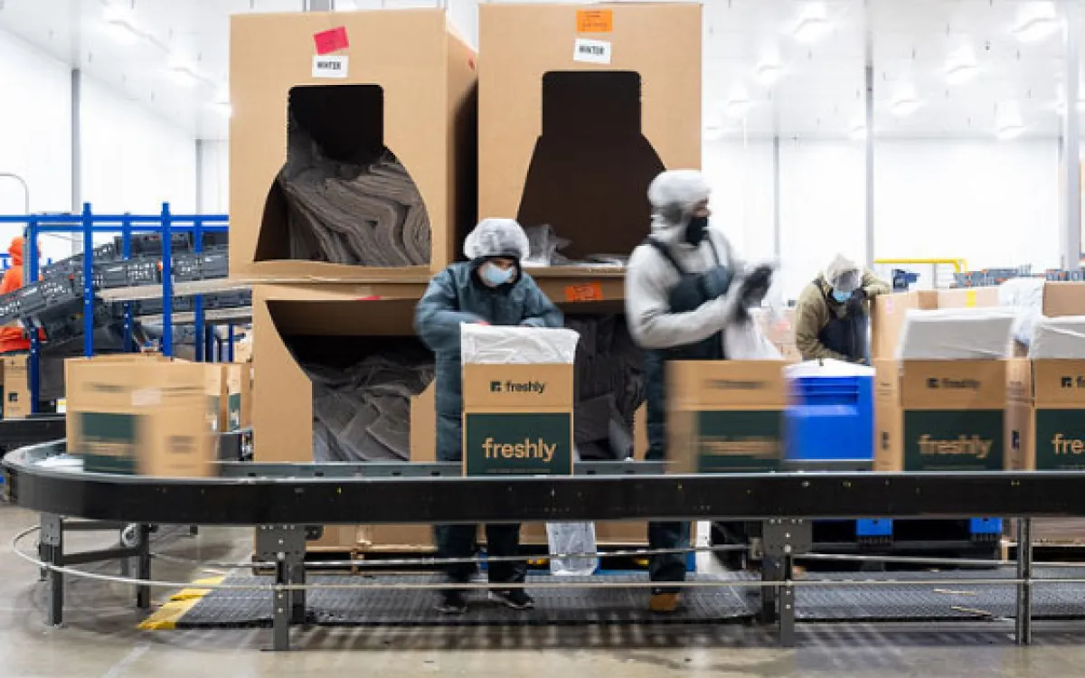 Two workers on a packing line for freshly