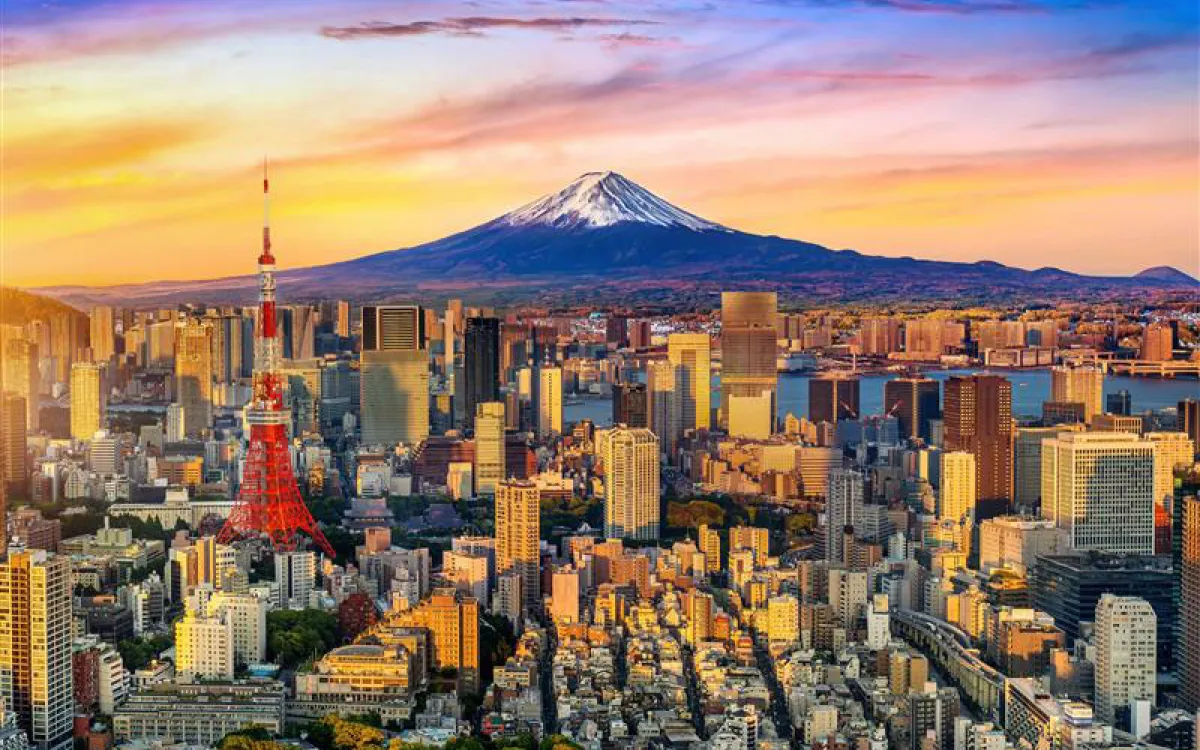 Tokyo cityscape with mountain in background