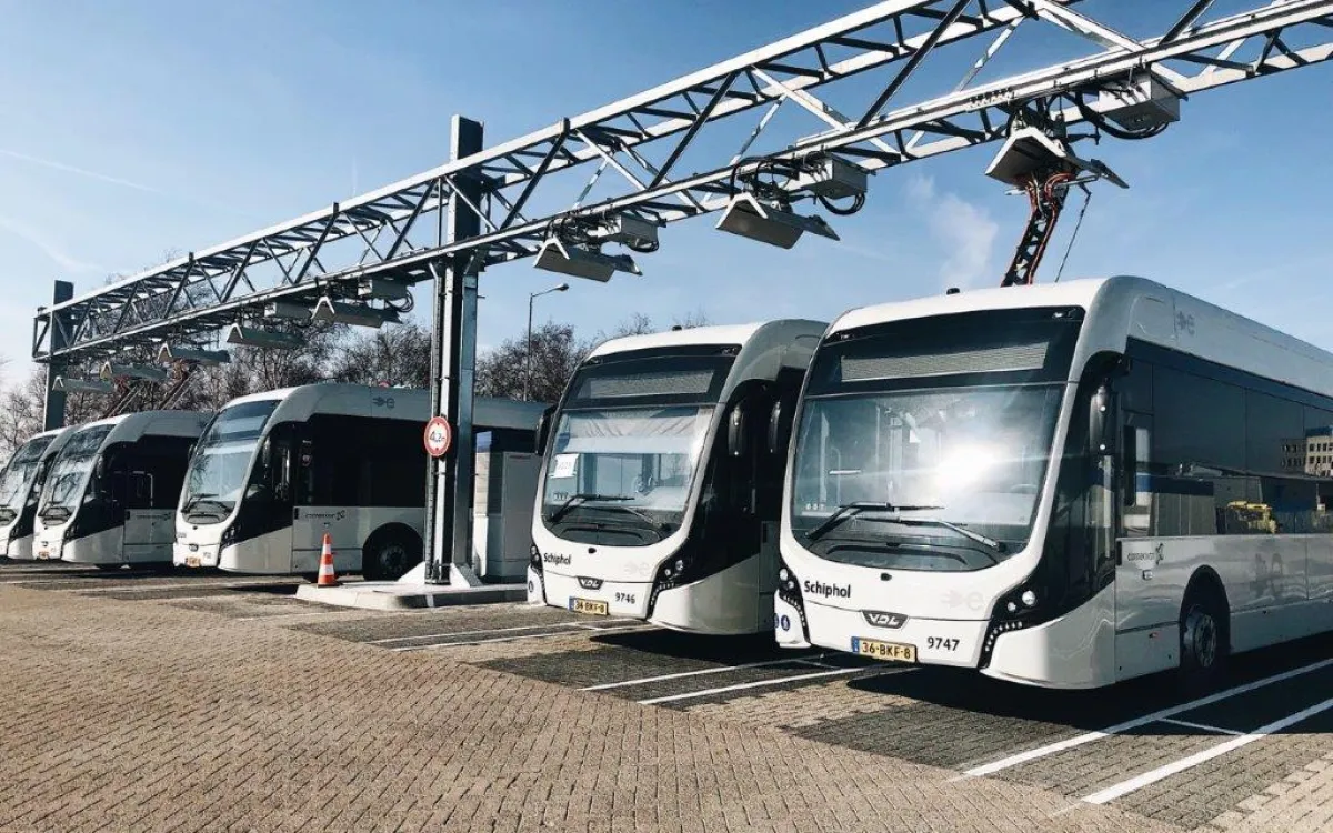 busses lined up