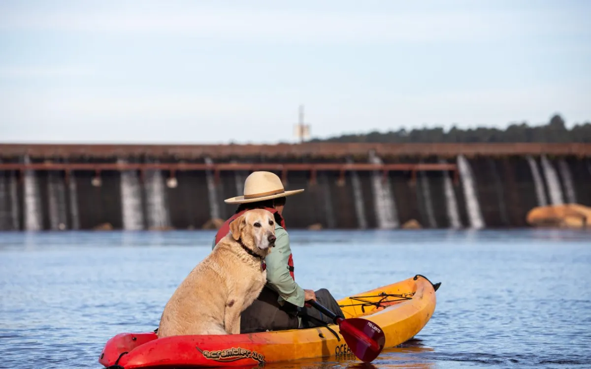Man, and dog on a kayak 
