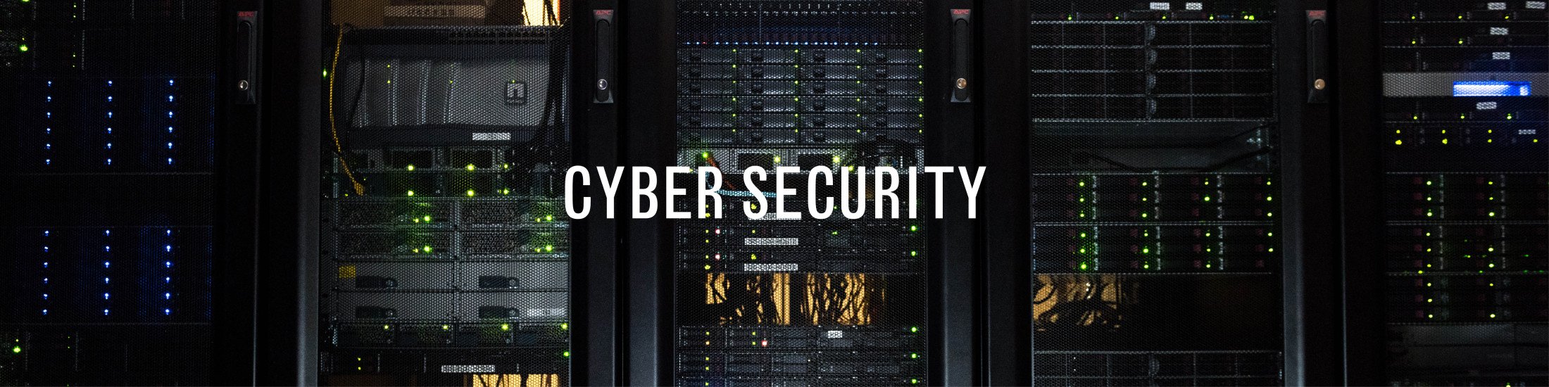 Georgia Cybersecurity