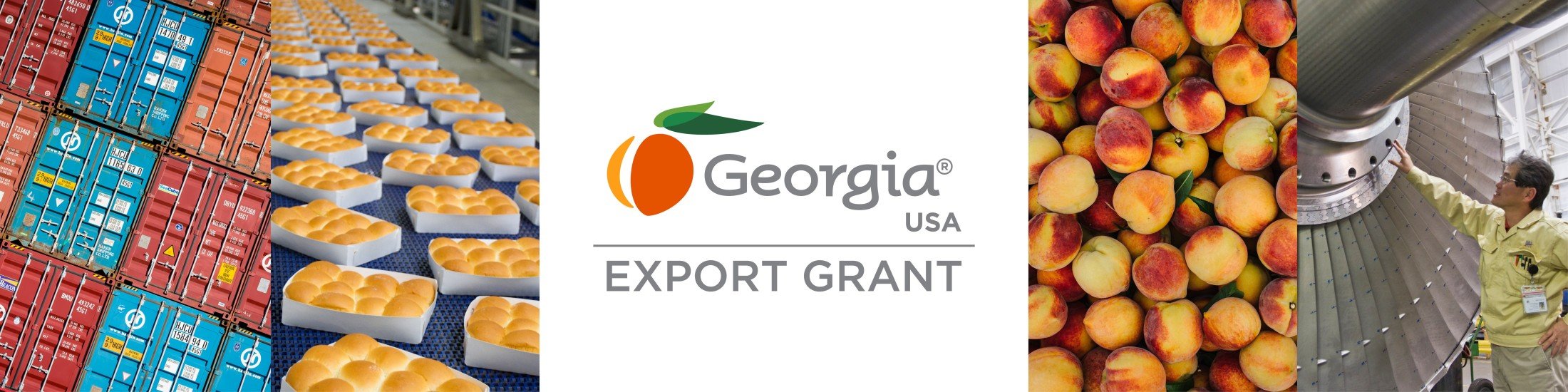 Export Grant hero image