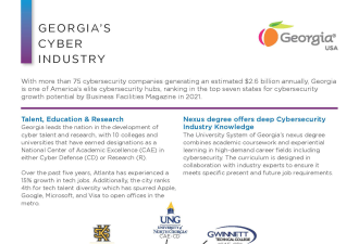 Georgia Cyber Security