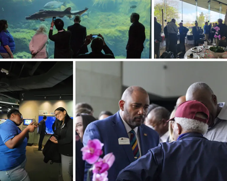 Flint RiverQuarium collage