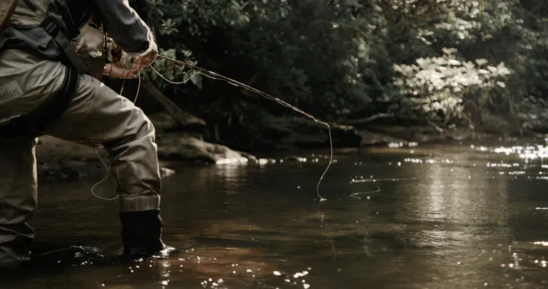 A person Fly fishing