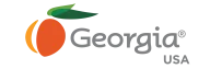 Georgia USA logo