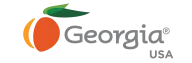 Georgia USA logo