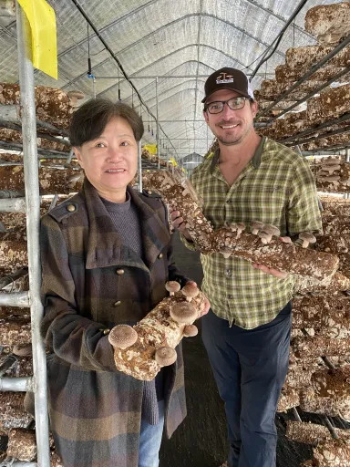 People working on the mushroom farm.