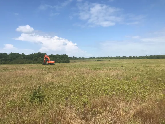An orange excavator in a grassy field